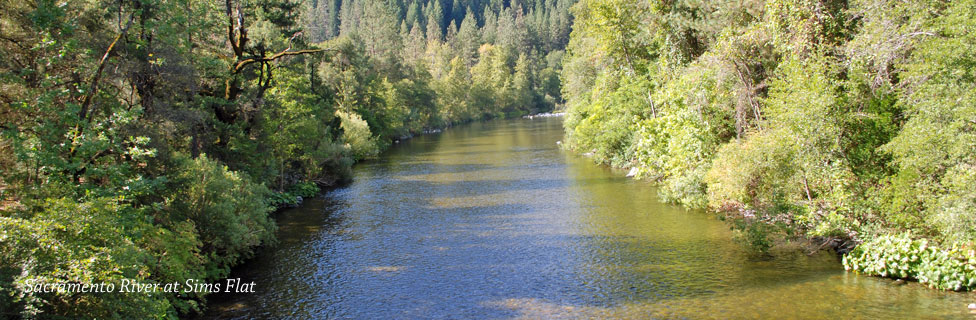 Sacramento River by Sims Flat, CA