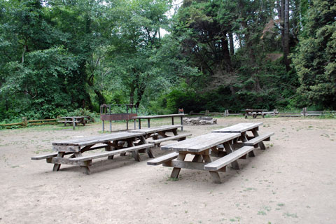 Van Damme State Park Campground, Mendocino coast