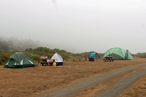 Westport-Union Landing State Beach Campground, Mendocino County, CA