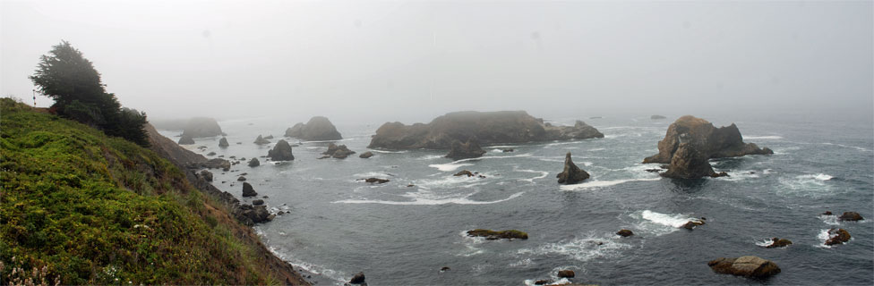 Westport-Union Landing State Beach, Mendocino Coast, CA