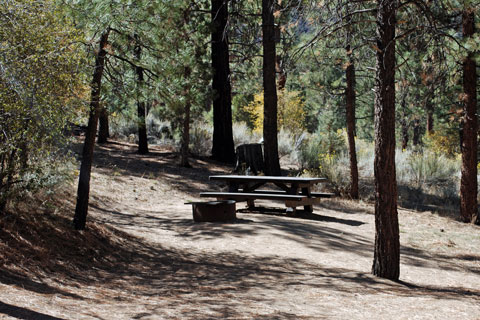 Wild Horse Equestrian  Campground, San Bernardino National Forest, CA