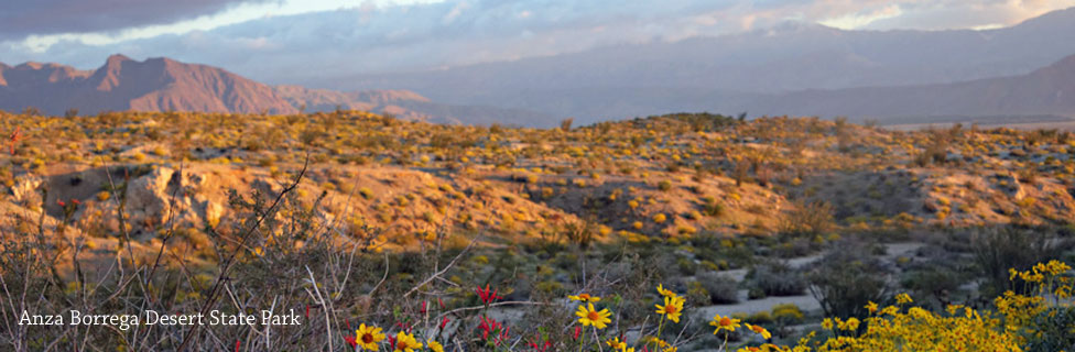 Anza-Borrego Desert State Park, CA