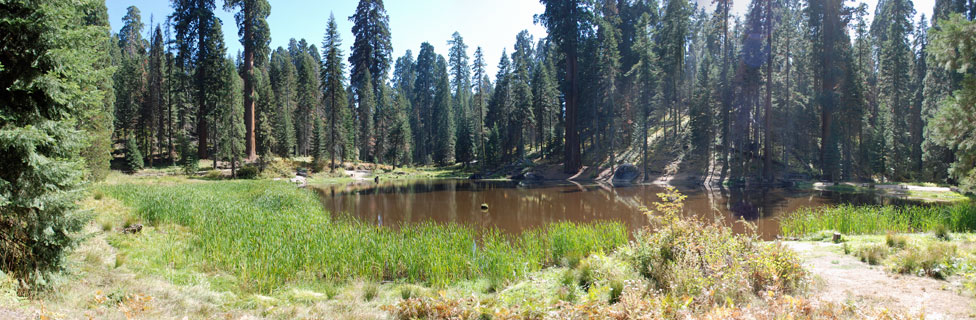 Balch Park, Mountain Home, Tulare County, California