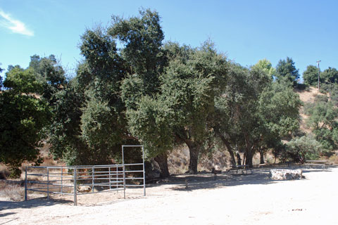 Bogart Park Equestrian campground, Riverside County, CA