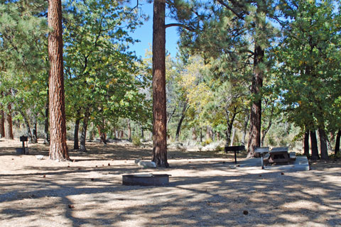 Green Spot Equestrian Group campground, Big Bear Lake, CA