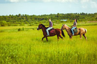 horseback riders