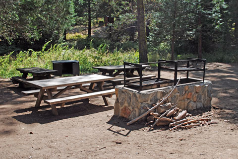 Methuselah Group Campground, Mountain Home Demonstration State Forest, CA