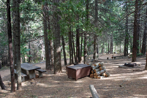 Moses Gulch Campground, Mountain Home Demonstration State Forest, CA