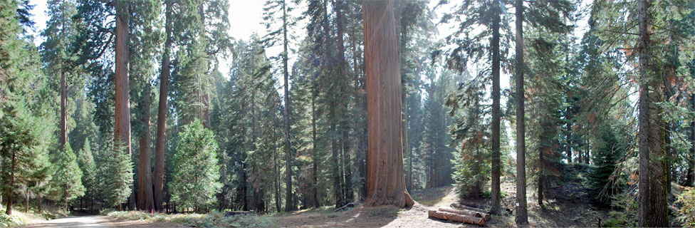 Mountain Home, Tulare County, California