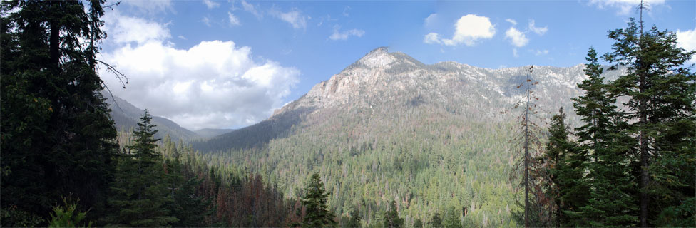 Tule River Valley, Mountain Home, Tulare County, California