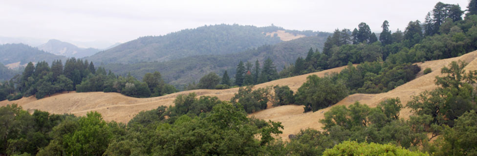 Austin Creek State Recreation Area, California