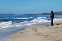 Half Moon Bay beach, CA