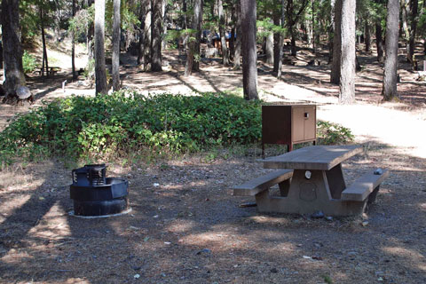 Hayden Flat Campground, Shasta Trinity National Forest, CA