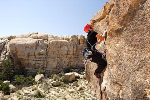 rock climbing in Joshua Tree Natiional Park