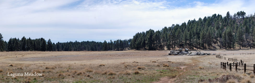 Laguna Meadow, Cleveland National Forest, CA