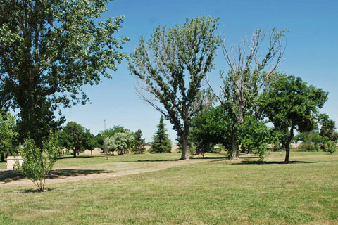 Modesto Reservoir Regional Park Group Campground, CA