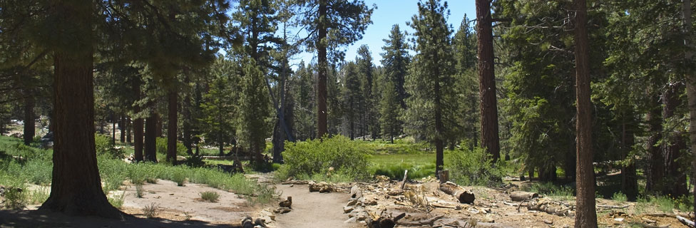 Trail, San Jacinto Mountains, California