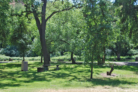 Turlock Lake State Recereatiion Area Campground, CA