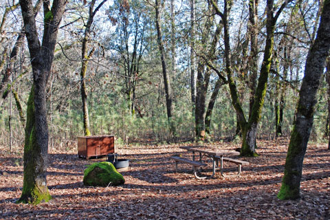 Antlers Campground at Shasta Lake.