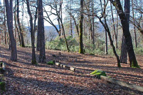 Gregory Creek Campground at Shasta Lake