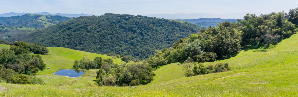 Henry W. Coe State Park, Santa Clara County, California