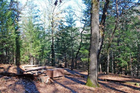 Moore Creek Campground at Shasta Lake