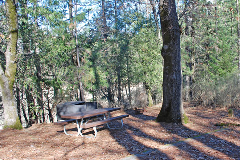 Pine Point Campground at Shasta Lake