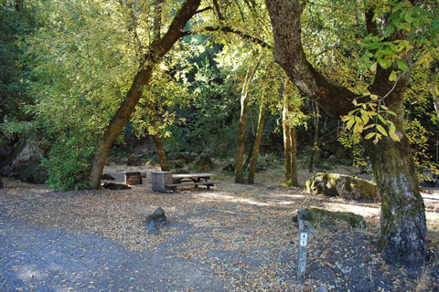 Sugarloaf Ridge State Park Campground, CA 