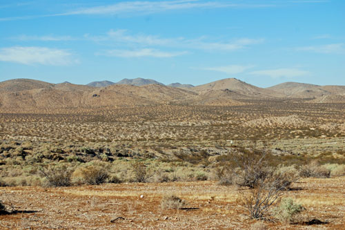 Mojave Desert