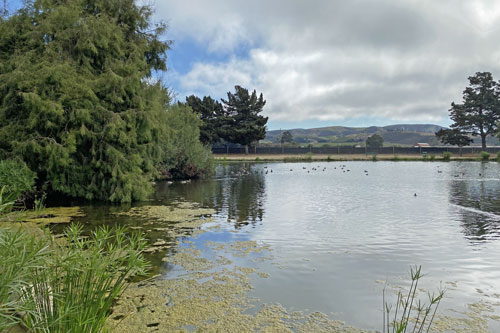 Oceano Campground lagoon, Pismo Beach, CA