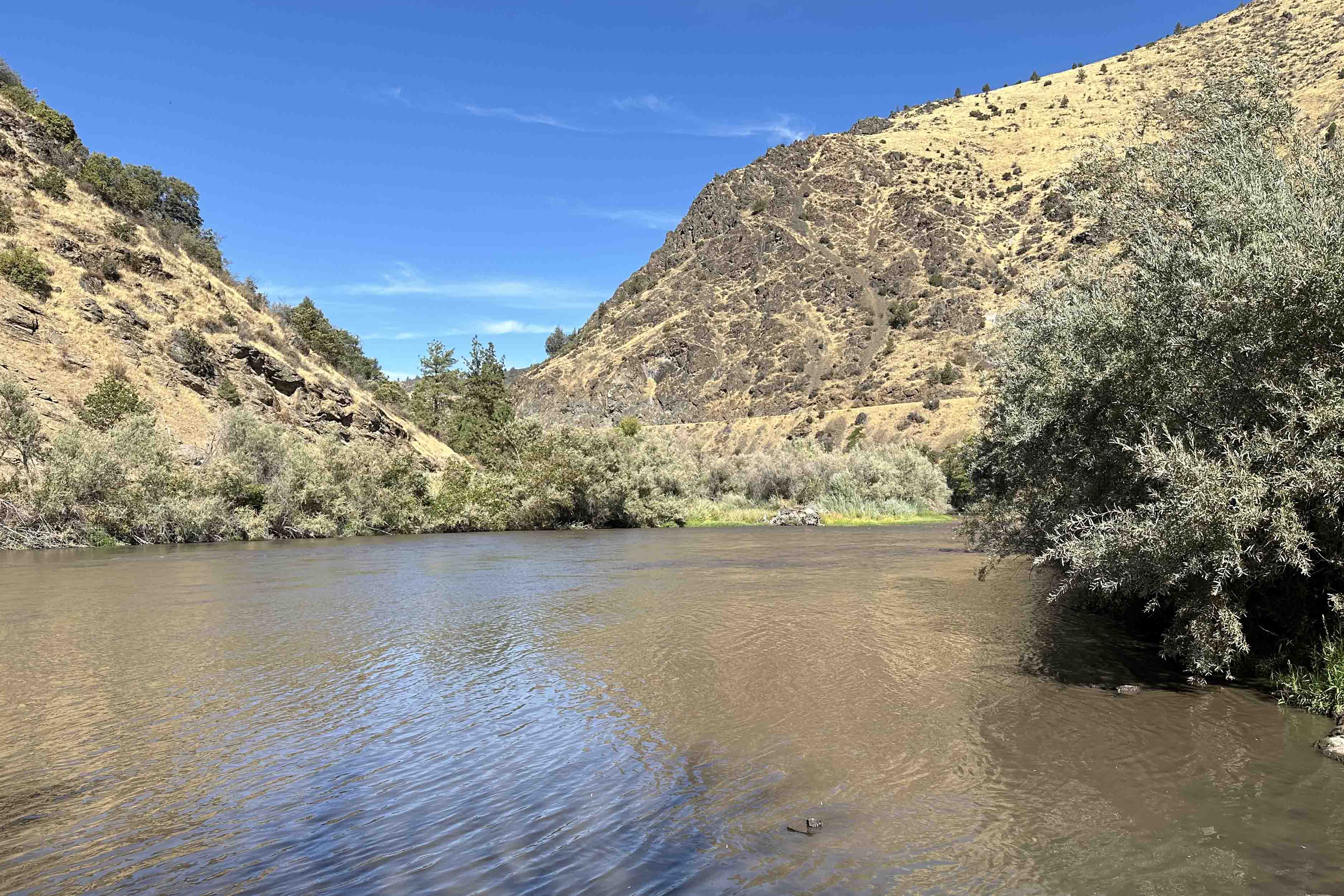 Klamath River at Tree of Heaven Campground, Klamath National Forest, CA