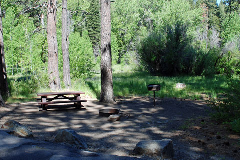 Cold Creek Campground, Highway 89,  Tahoe National Forest