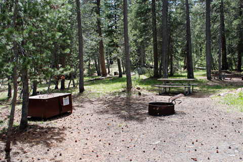 Porcupine Flat Campground, Yosemite National Park