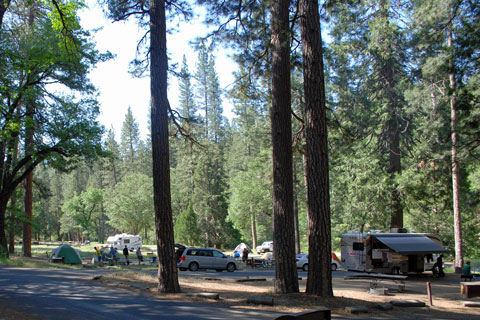 Wawona Campground, Yosemite National Park