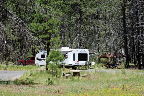 Almanor Legacy Campground, Lake Almanor, CA