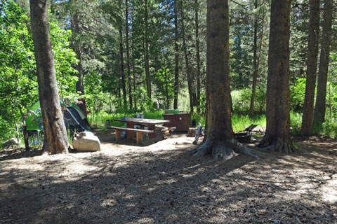 Green Creek Campground, Mono County, CA