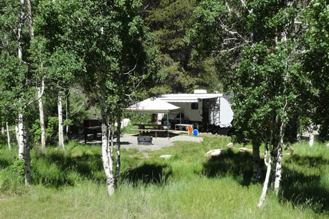 Lower Honeymoon Campground, , CA