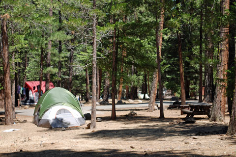 McArthur-Burney Falls State Park campground