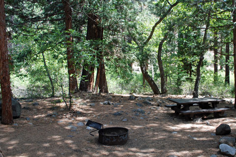 Chilcoot Campground, near Frenchman Lake, Plumas National Forest