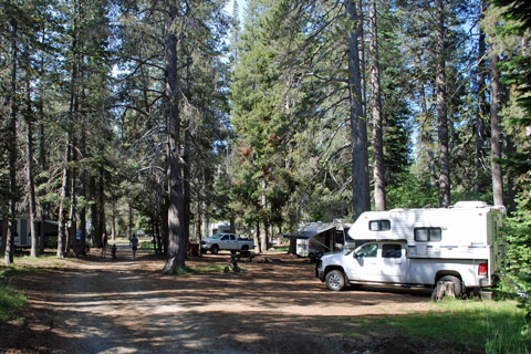 Gold Lake Campground, Lakes Basin, Plumas National Forest