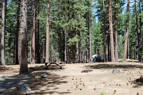 Grasshopper Campground, Lake Davis, Plumas National Forest