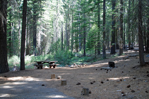 Running Deer Campground,  Little Grass Valley Reservoir, Plumas National Forest