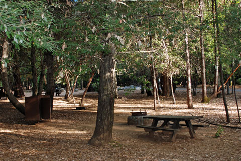 Schoolhouse Campground, New Bullards Bar Reservoir, CA