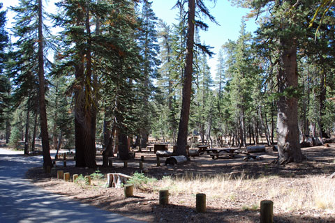 Upper Blue Lake Campground, Humboldt-Toiyabe National Forest, CA