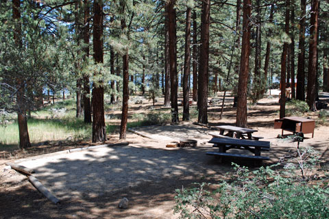Indian Creek Campground, Indian Creek Reservoir, Humboldt-Toiyabe National Forest, CA
