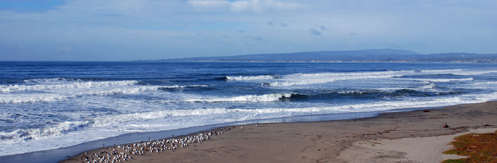 Manresa State Beach, CA