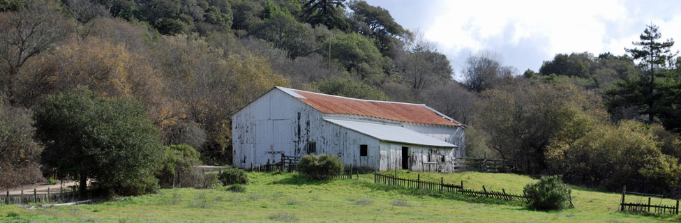 Andrew Molera State Park, CA