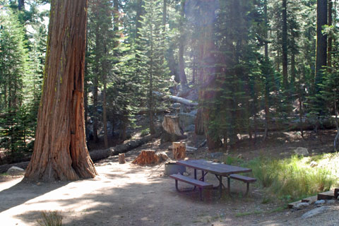 Pardoes Point Campground, Lower Bear River Reservoir, Eldorado National Forest, CA