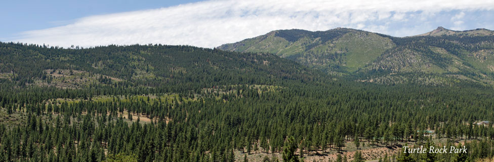 Turtle Rock Park Campground area, Alpine County, CA