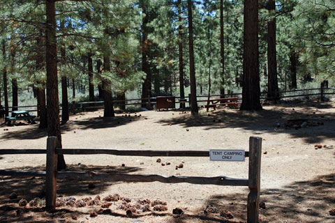 Tent campground at Turtle Rock Park Campground, Alpine County, CA